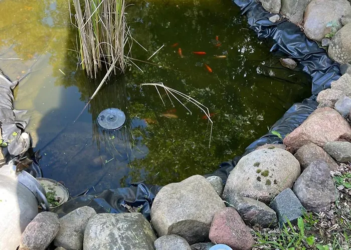 Tiny House Campsite *